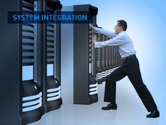 Thom Consulting System Integration